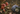 DROP Donde viven los recuerdos
